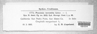 Image Associated With the Occurence